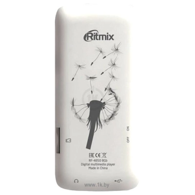 Ritmix RF-4850 8Gb