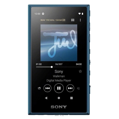 Sony NW-A100 16 GB