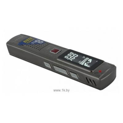 Ritmix RR-110 4Gb