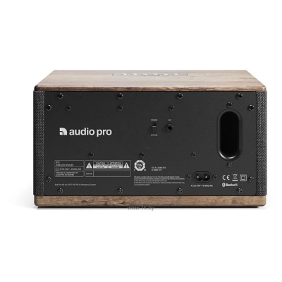 Audio Pro BT5