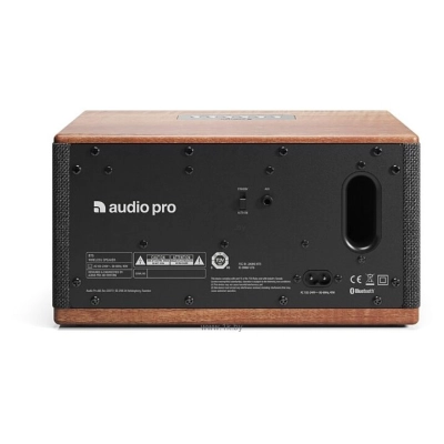 Audio Pro BT5