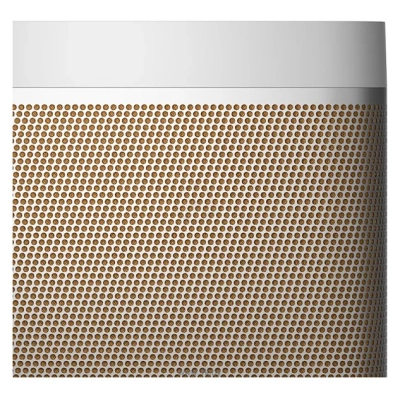 Bang & Olufsen Beolit 20