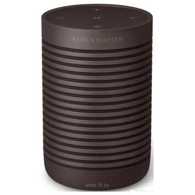 Bang & Olufsen Beosound Explore (korichnevyiy)