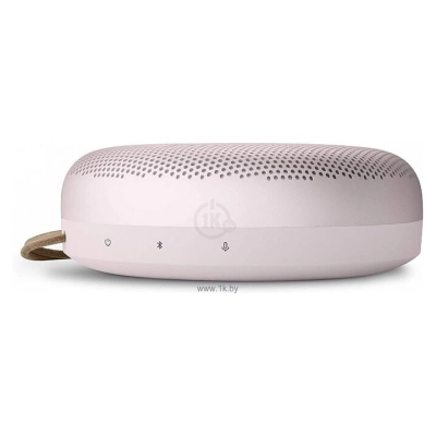 Bang & Olufsen Beosound A1 2nd Gen