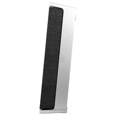 Bang & Olufsen Beosound Level