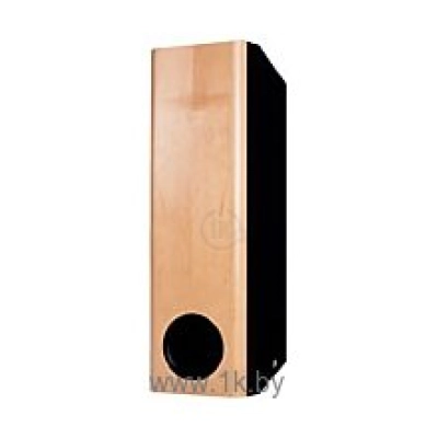 ASW Loudspeaker Opus SW 150