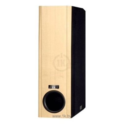 ASW Loudspeaker OPUS SW 200 / 06