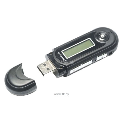 Intenso Music Walker 8Gb