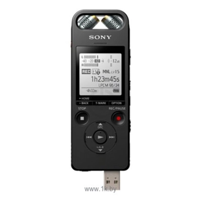 Sony ICD-SX2000