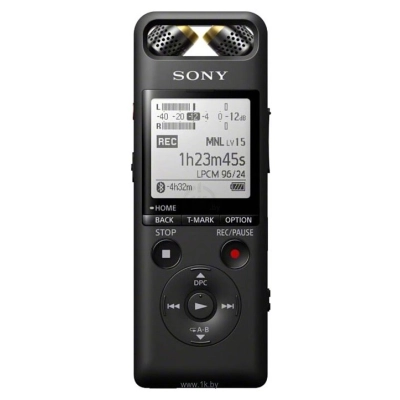 Sony PCM-A10