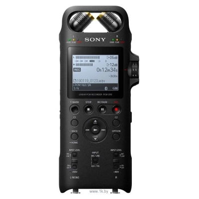 Sony PCM-D10