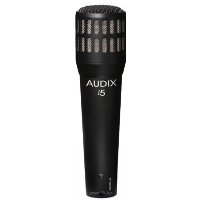 Audix i5