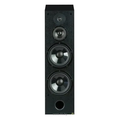 Acoustique Quality Wega 55 MKIII