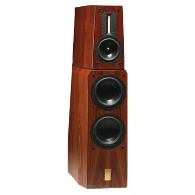 Aerial Acoustics Model 20T