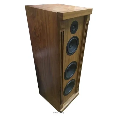 Aleks Audio & Video Everly
