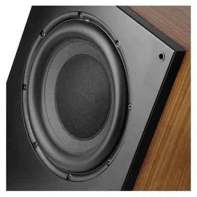 Arslab Classic Bass 1