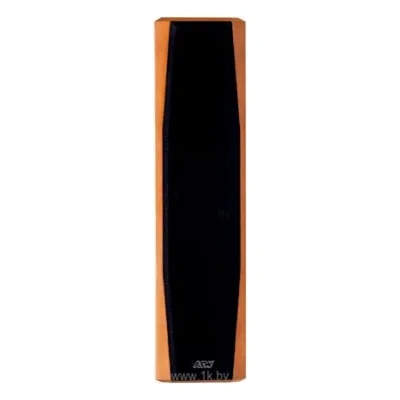 ASW Loudspeaker Opus C / 06