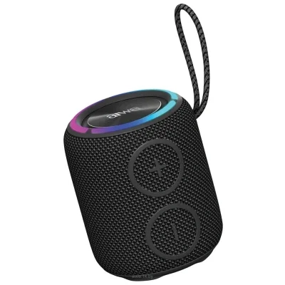 AIWA PAS-H100