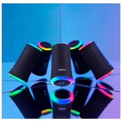 Anker ANKER Soundcore Flare 2