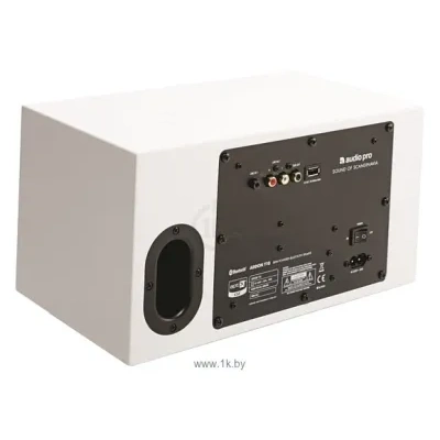 Audio Pro Addon T10