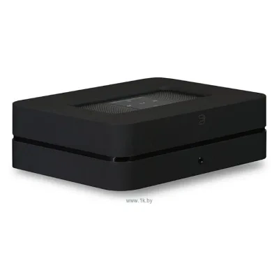Bluesound POWERNODE 2i