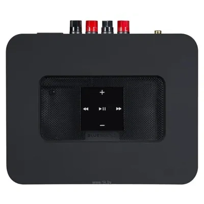 Bluesound POWERNODE 2i