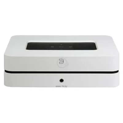 Bluesound POWERNODE 2i