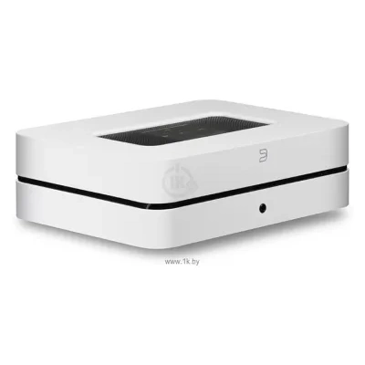 Bluesound POWERNODE 2i
