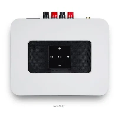 Bluesound POWERNODE 2i