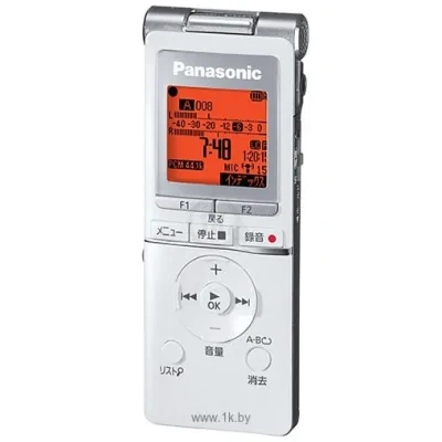 Panasonic RR-XS450