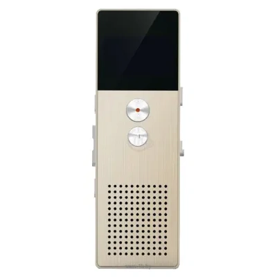 Remax RP1