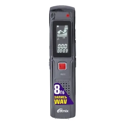Ritmix RR-110 4Gb