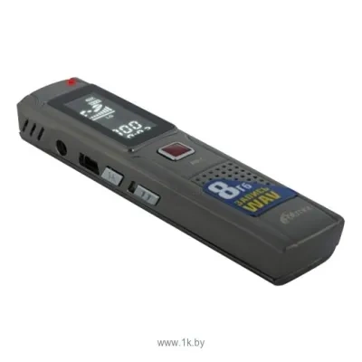 Ritmix RR-110 4Gb
