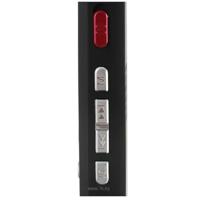 Ritmix RR-650 4Gb