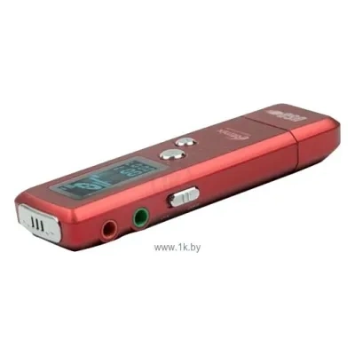 Ritmix RR-660 2Gb
