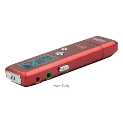 Ritmix RR-660 4Gb