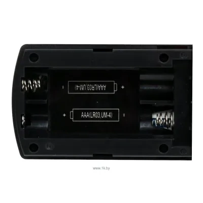 Ritmix RR-950 2Gb