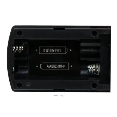 Ritmix RR-950 4Gb
