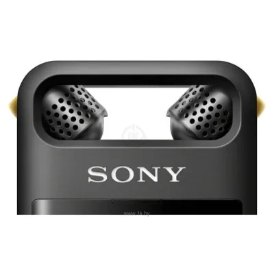 Sony PCM-A10