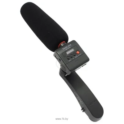 Tascam DR-10SG