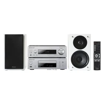 Pioneer P1-DAB-W