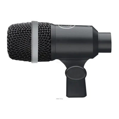 AKG D40