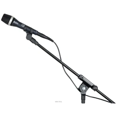 AKG D5