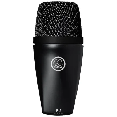 AKG P2