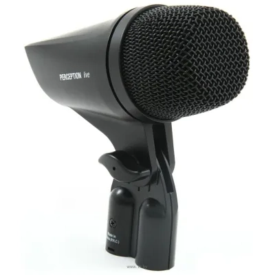 AKG P2