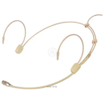 Arthur Forty PSC HMHD92-X