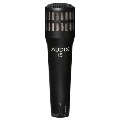 Audix i5