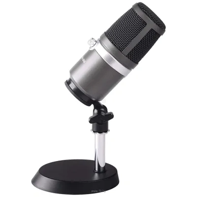 AVerMedia Live Streamer MIC 310 AM310