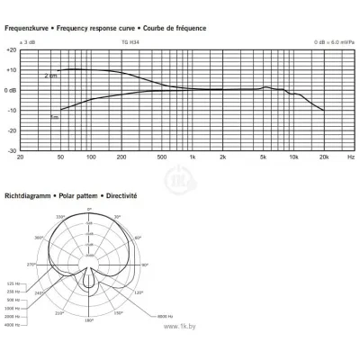 Beyerdynamic TG 534 Headworn Set