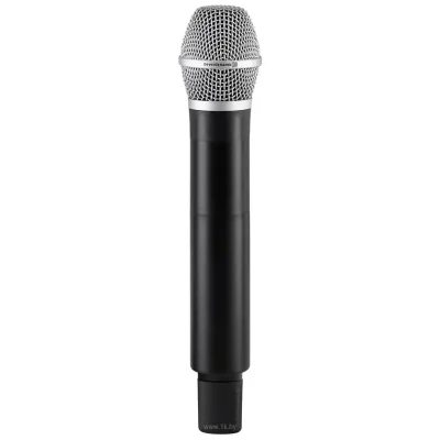 Beyerdynamic TG 100 Handheld Set
